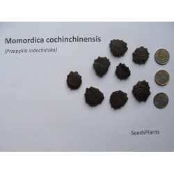 Momordica cochinchinensis