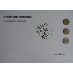 ARONIA CZARNOOWOCOWA Aronia melanocarpa