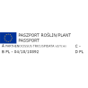 WINOBLUSZCZ TRÓJKLAPOWY VEITCHII