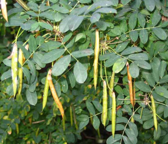  - Image 3